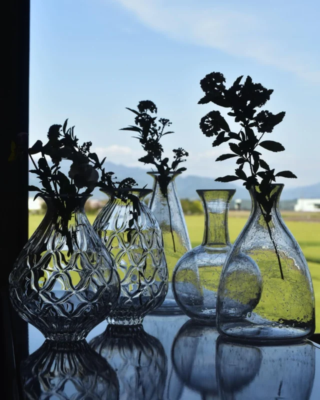 ＋＋glass atelier えむに＋＋ | 水上竜太とマエダミユキの日々